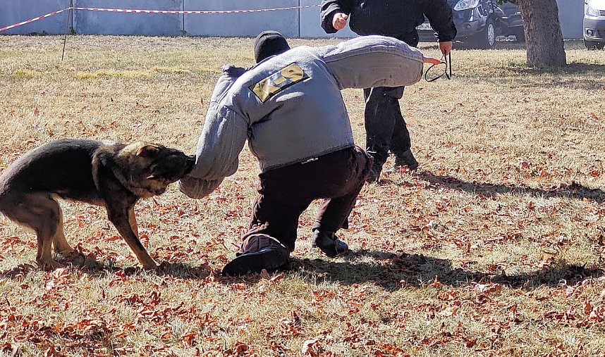 Tag der offenen T&uuml;r bei der Landespolizeiinspektion in Nordhausen