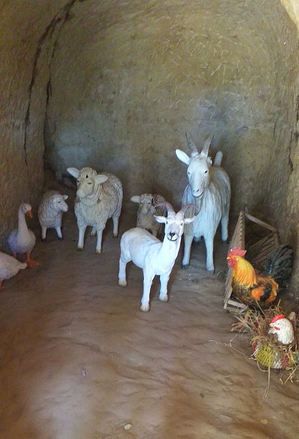 Herbstausflug der Herzsportler