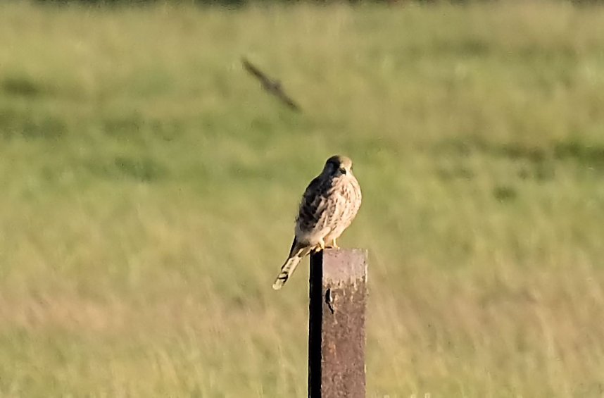 Abendliche Impressionen im Fr&uuml;hherbst