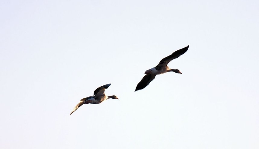 Abendliche Impressionen im Fr&uuml;hherbst