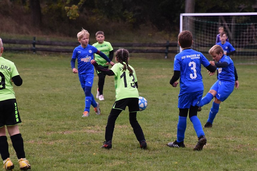Wackers E1 gegen den Nachwuchs des SV Badra
