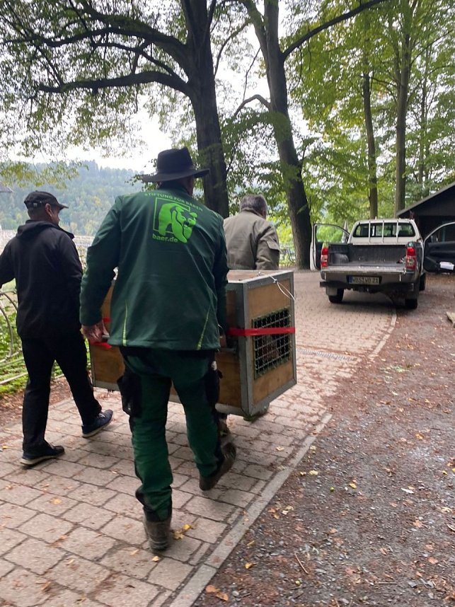 Neuank&ouml;mmling im B&auml;renpark