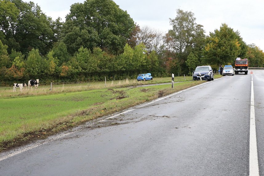 Fahranf&auml;ngerin rutscht auf eine Kuhweide