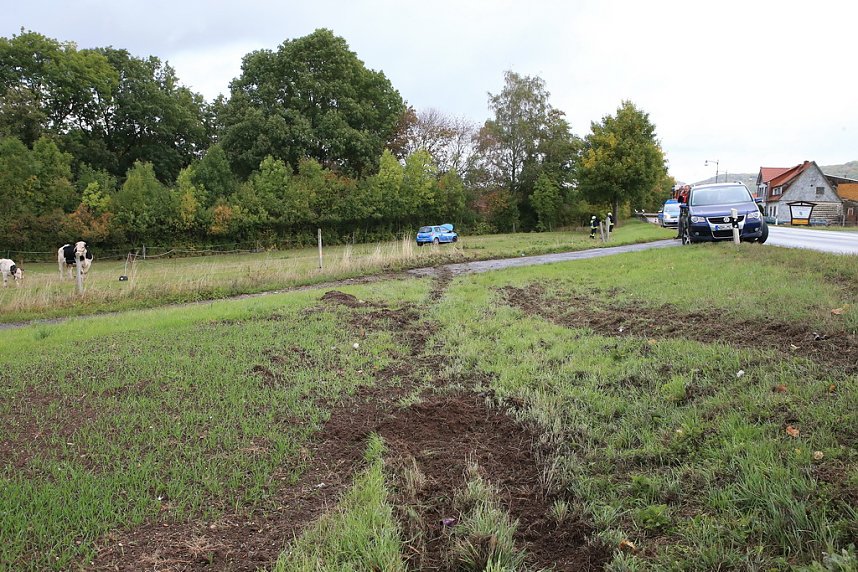 Fahranf&auml;ngerin rutscht auf eine Kuhweide