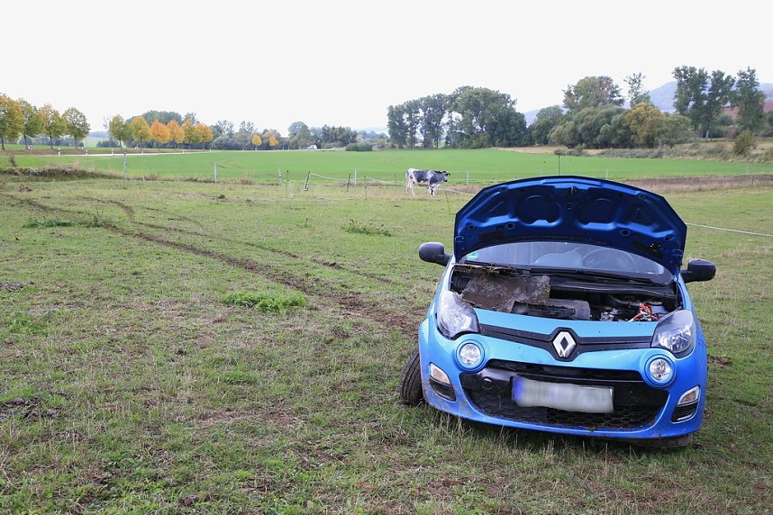 Fahranf&auml;ngerin rutscht auf eine Kuhweide