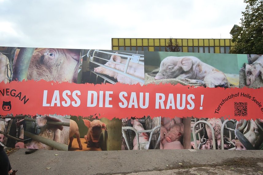 Protestaktion bei Van Asten
