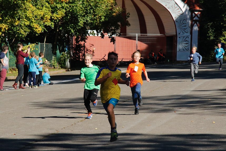 Herbstcrosslauf im Gehege