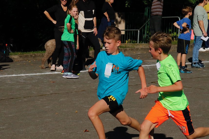 Herbstcrosslauf im Gehege