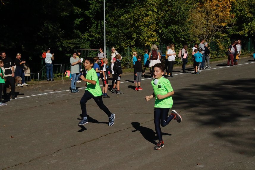 Herbstcrosslauf im Gehege