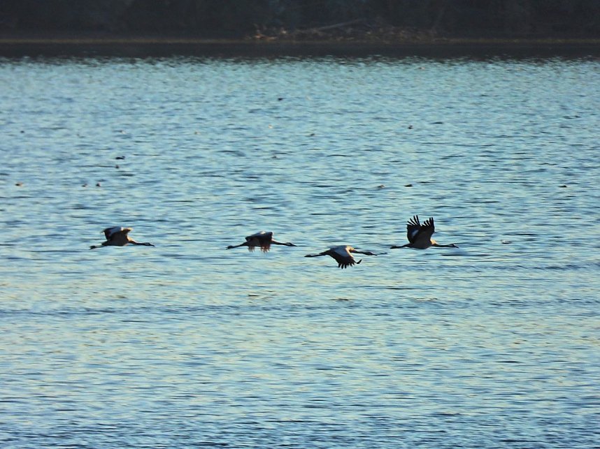 Traumwetter am Stausee