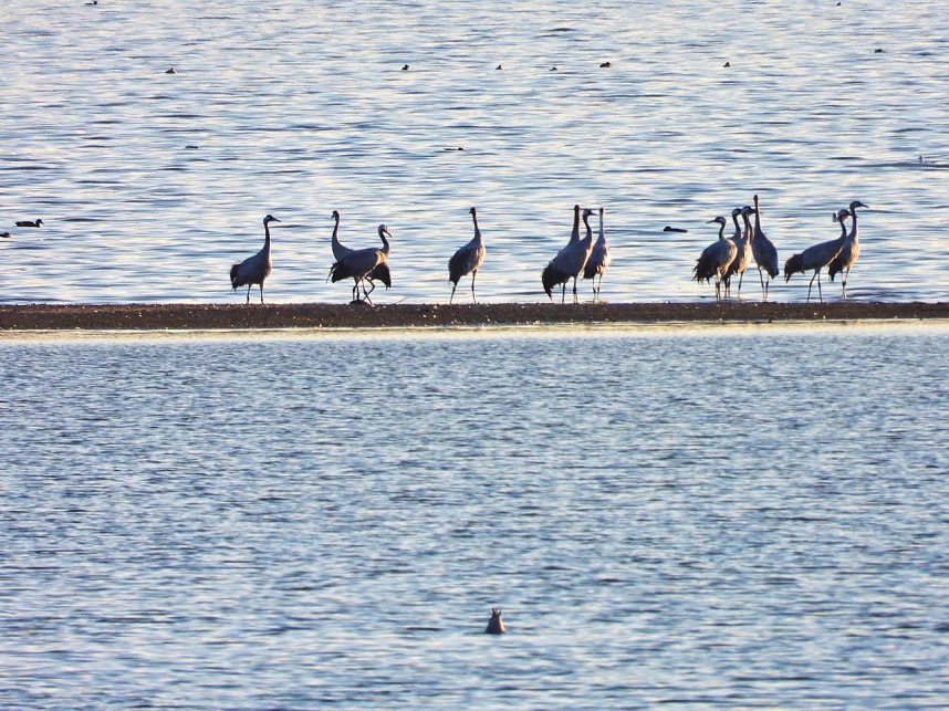 Traumwetter am Stausee