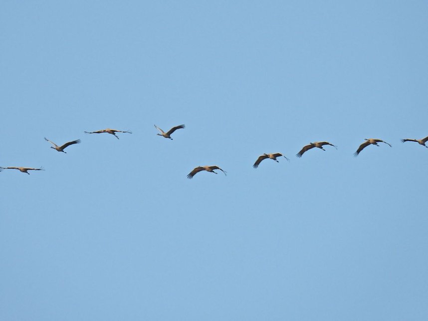Traumwetter am Stausee