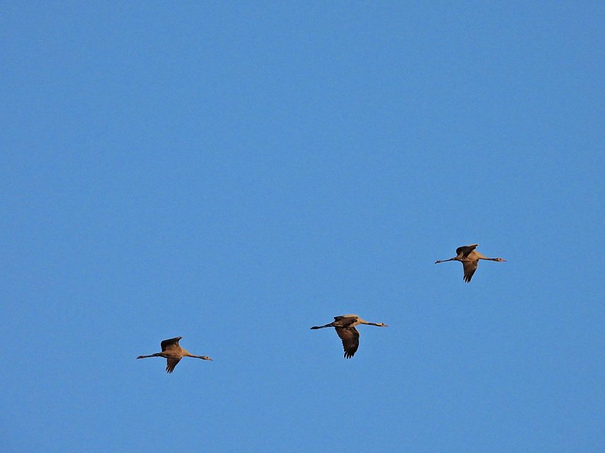 Traumwetter am Stausee