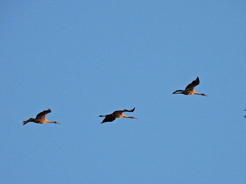 Traumwetter am Stausee