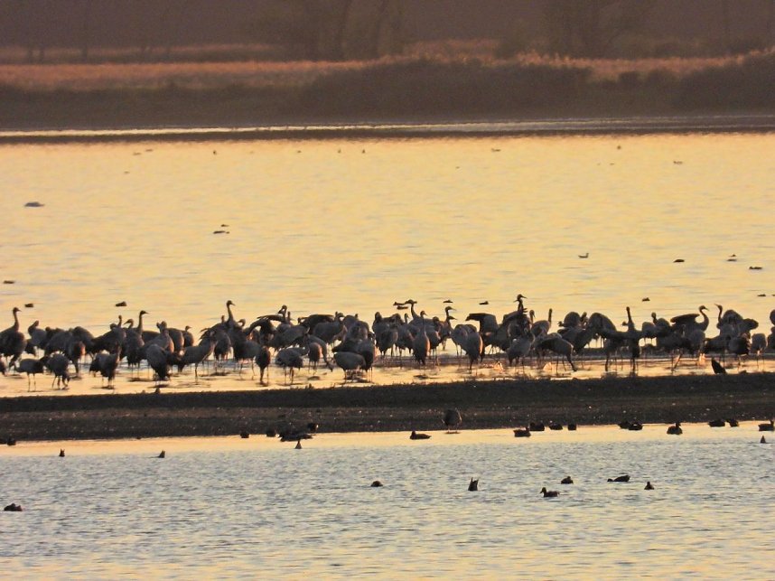 Traumwetter am Stausee