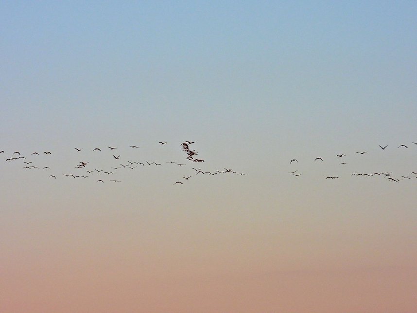 Traumwetter am Stausee