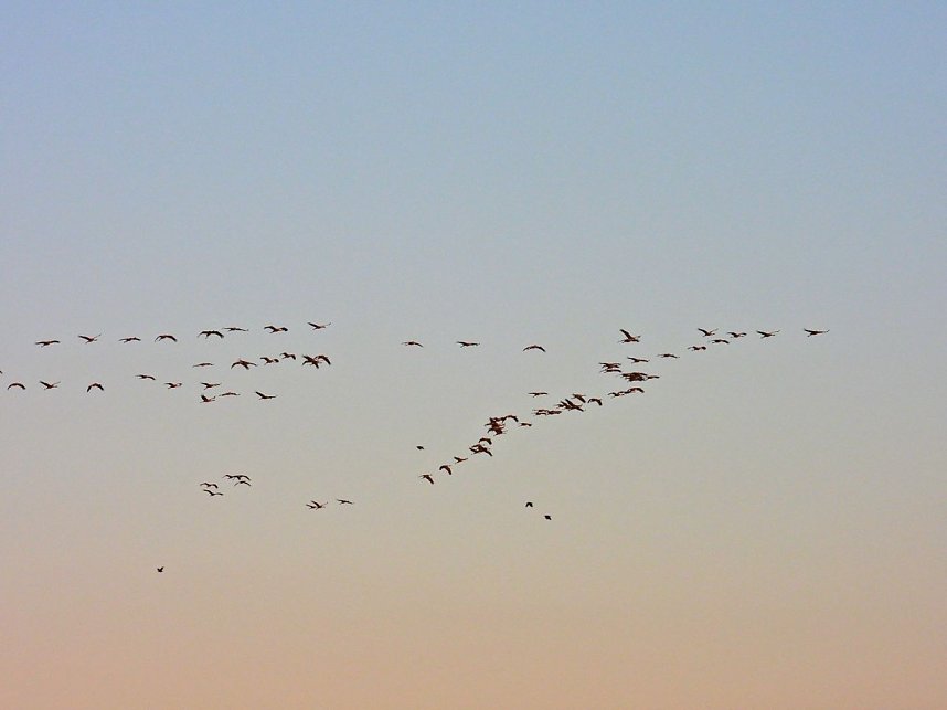 Traumwetter am Stausee
