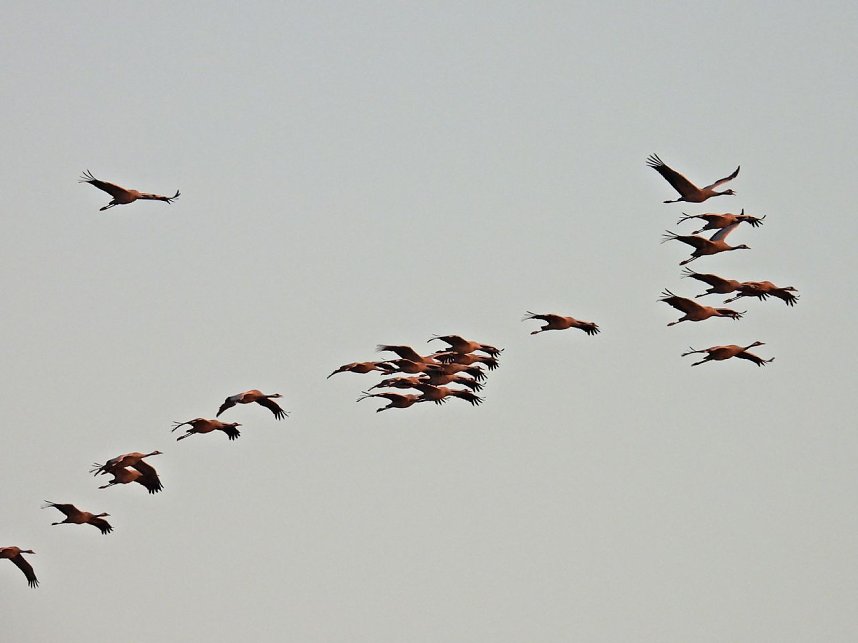 Traumwetter am Stausee