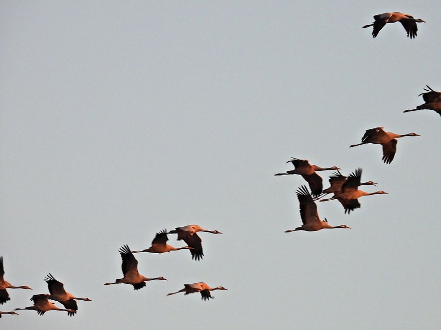 Traumwetter am Stausee