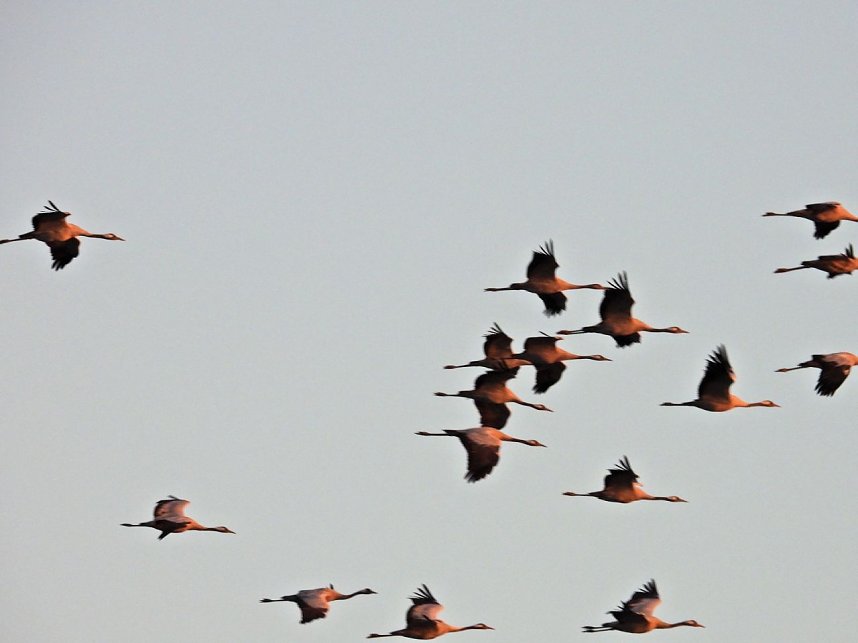 Traumwetter am Stausee