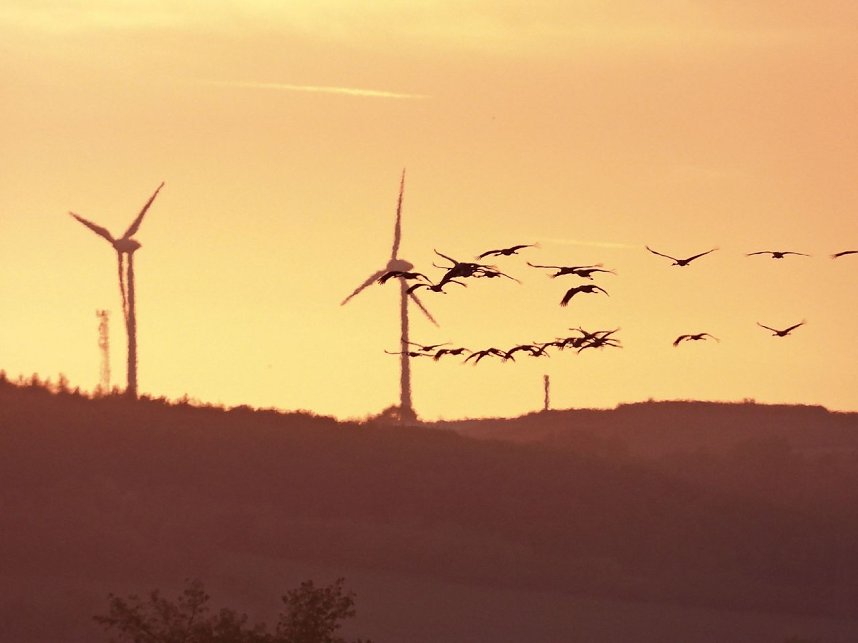 Traumwetter am Stausee