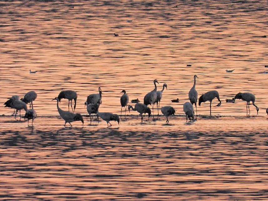 Traumwetter am Stausee