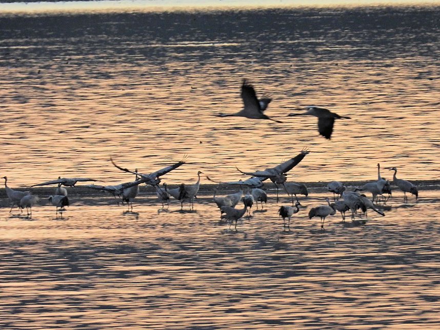 Traumwetter am Stausee