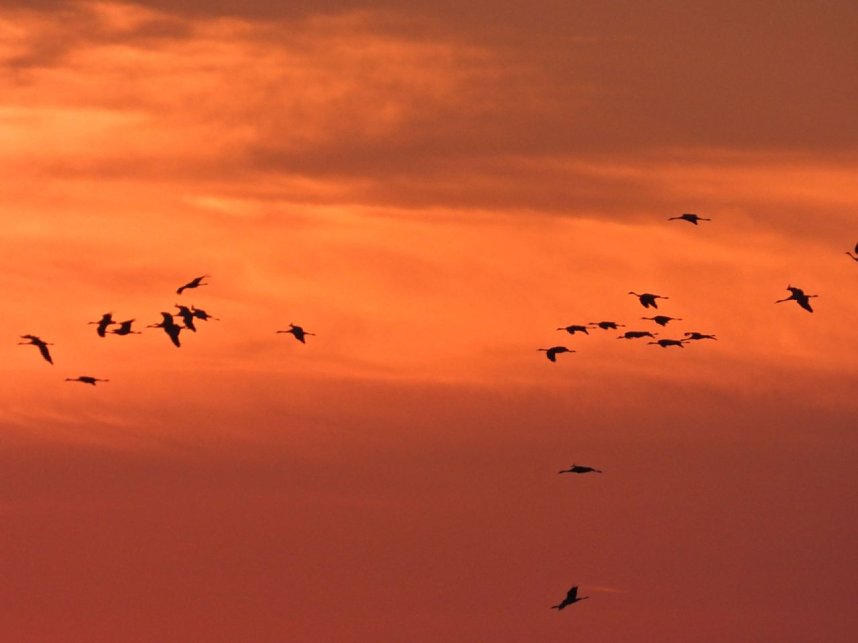 Traumwetter am Stausee