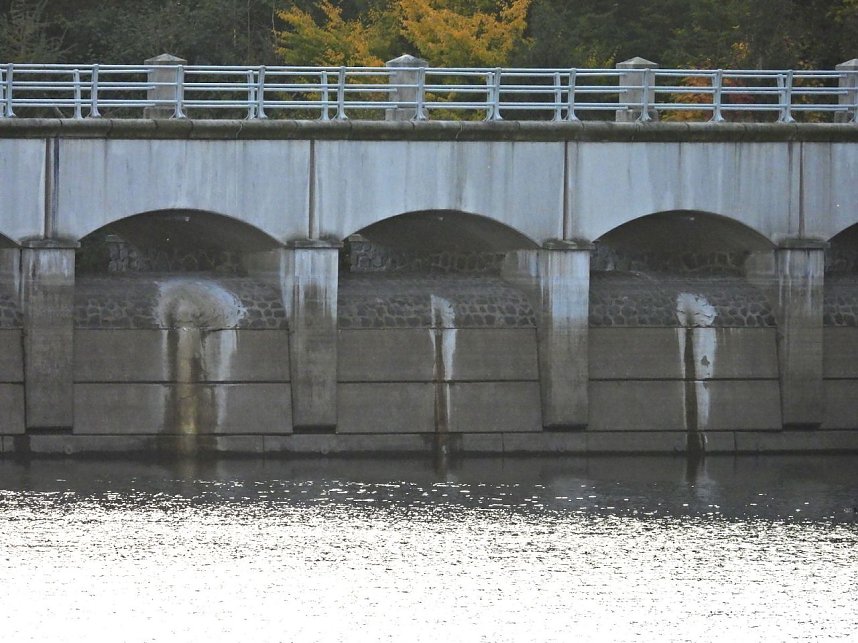 Peter Blei an der Talsperre Neustadt