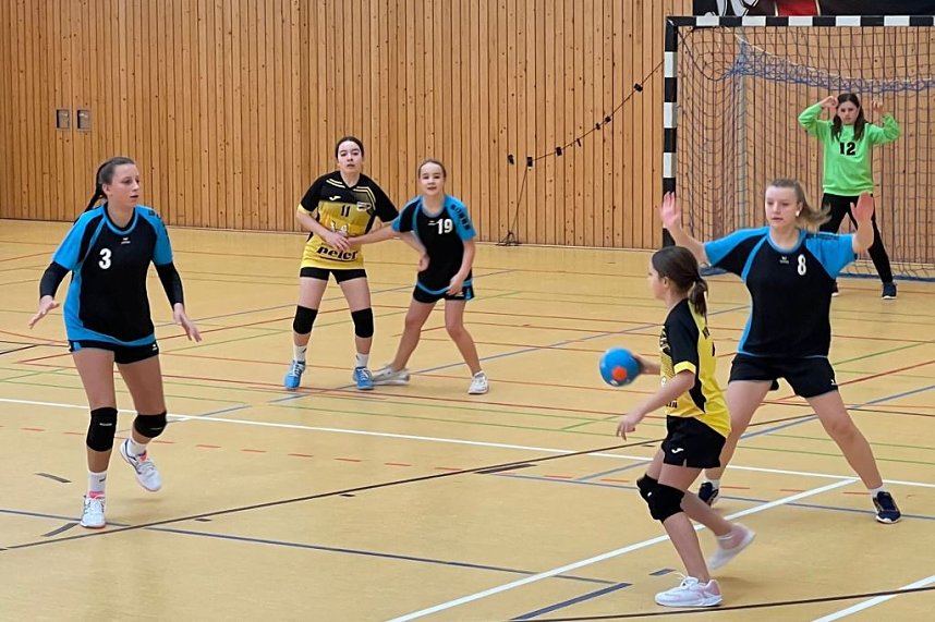 Die NSV Handballer legten einen guten Saisoneinstand hin