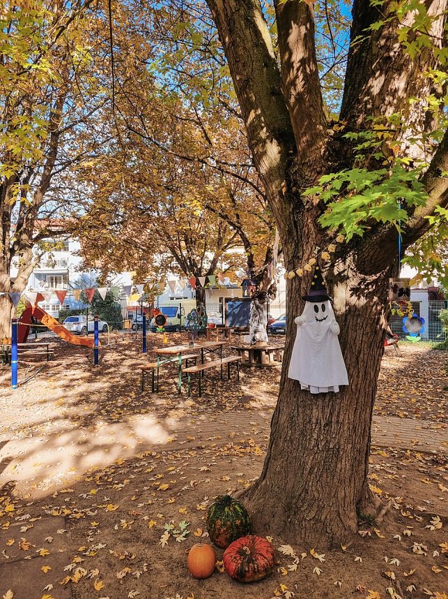 Herbstwoche im Domschl&ouml;sschen