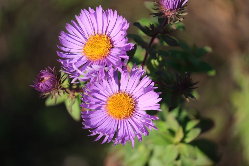 Impressionen vom Nordh&auml;user Petersberg