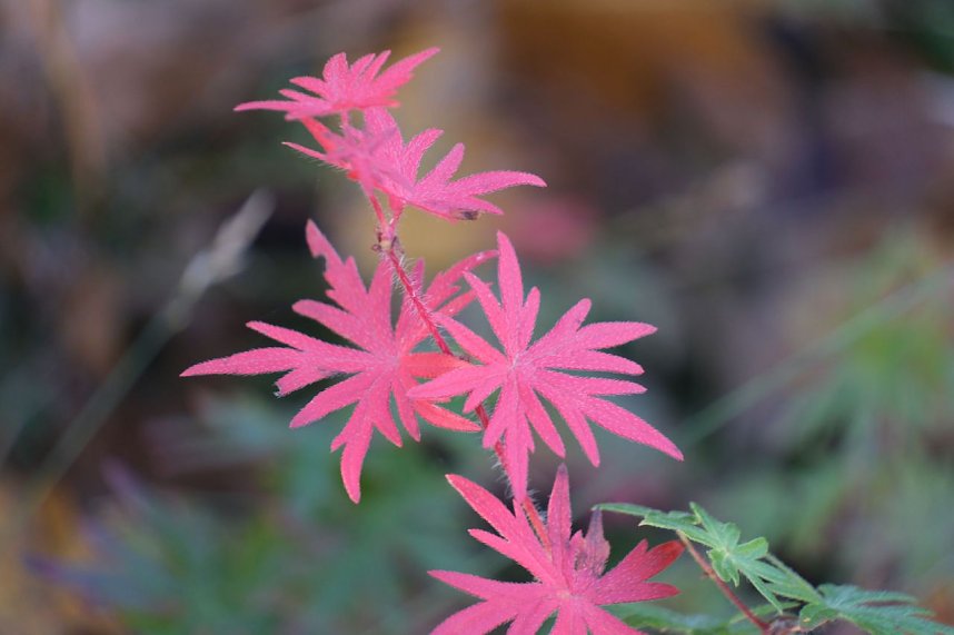 Impressionen vom Nordh&auml;user Petersberg