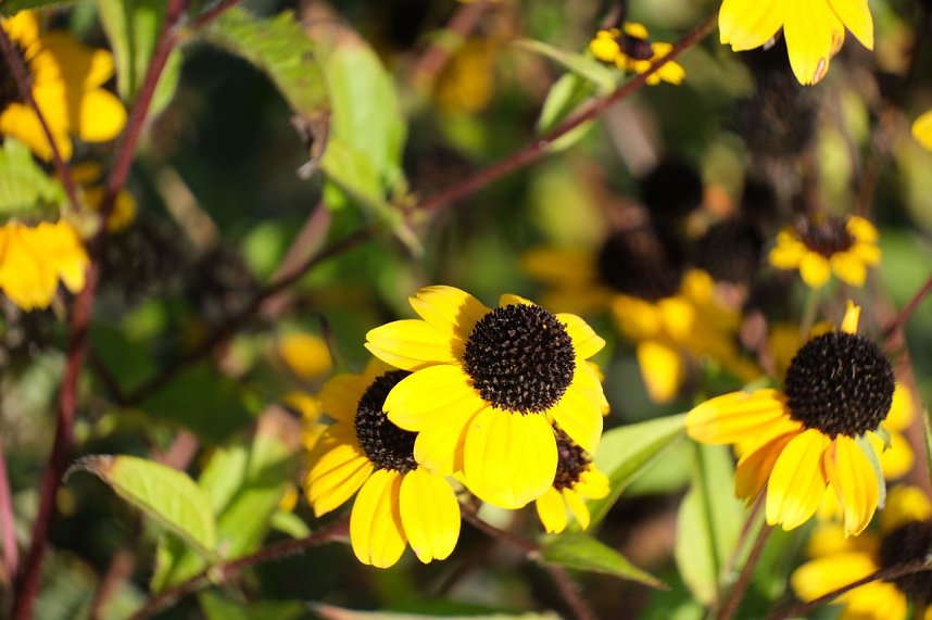 Impressionen vom Nordh&auml;user Petersberg