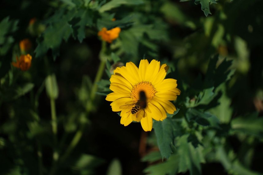 Impressionen vom Nordh&auml;user Petersberg