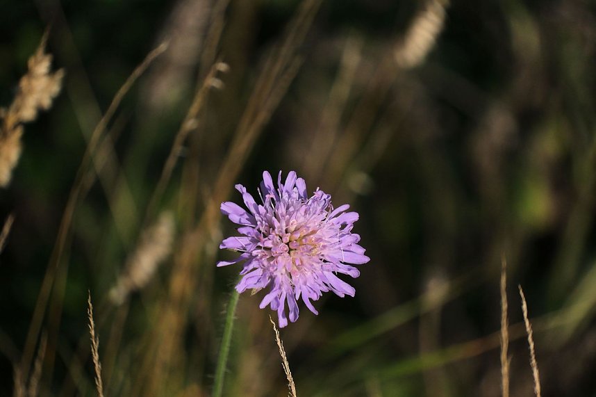 Impressionen vom Nordh&auml;user Petersberg