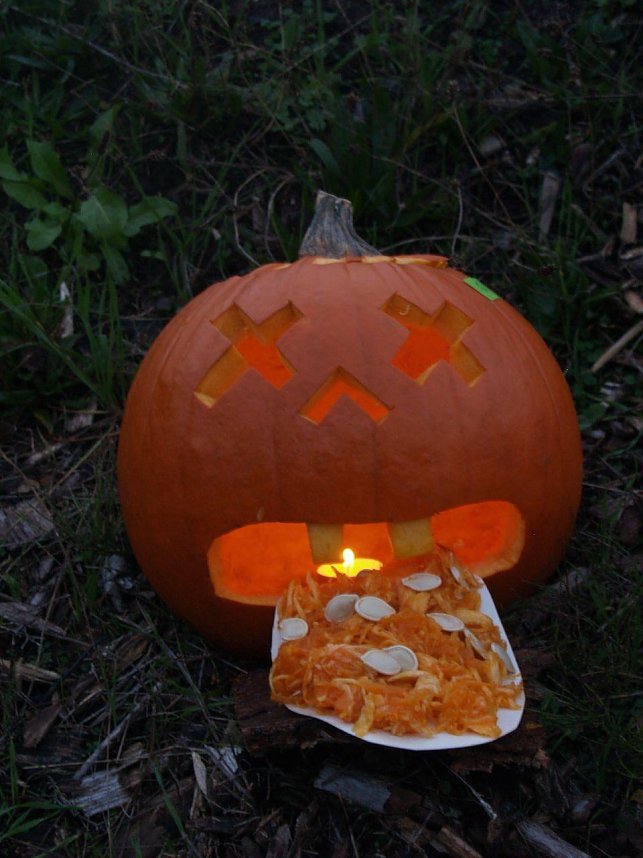 K&uuml;rbisfest in Klettenberg