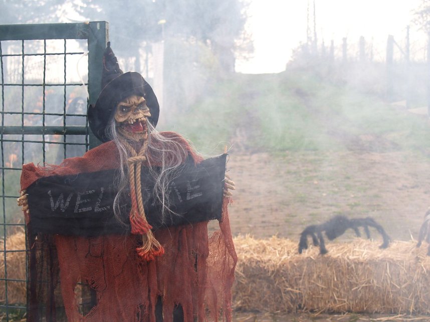 K&uuml;rbisfest in Klettenberg