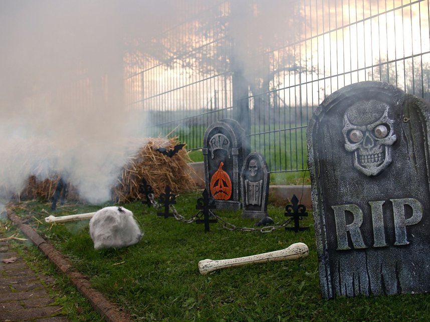 K&uuml;rbisfest in Klettenberg
