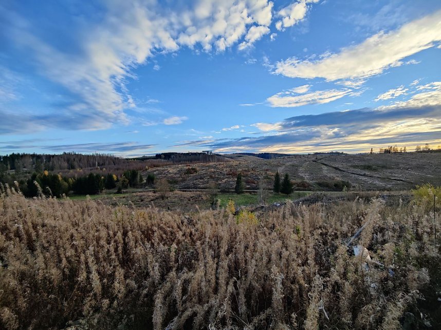 Peter Blei unterwegs im Harz