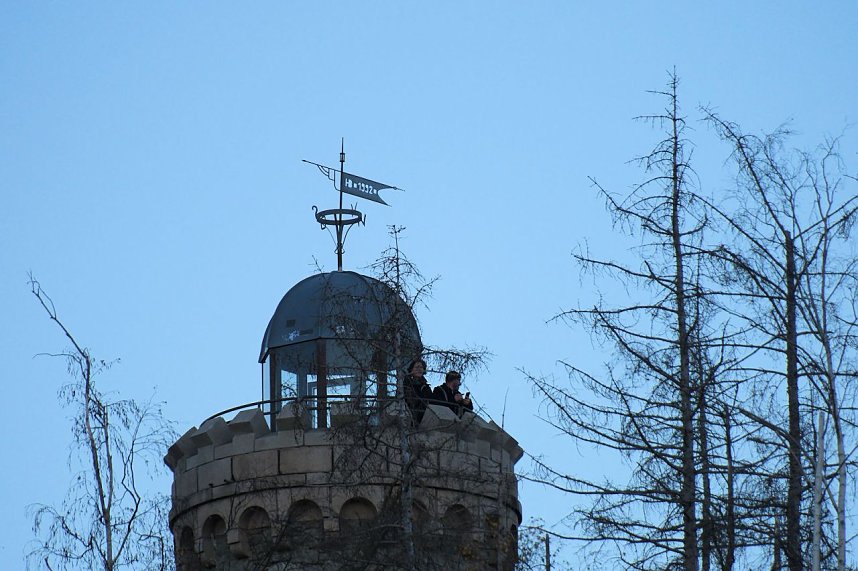 Peter Blei auf dem Armeleuteberg