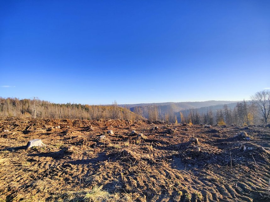 Peter Blei auf dem Armeleuteberg