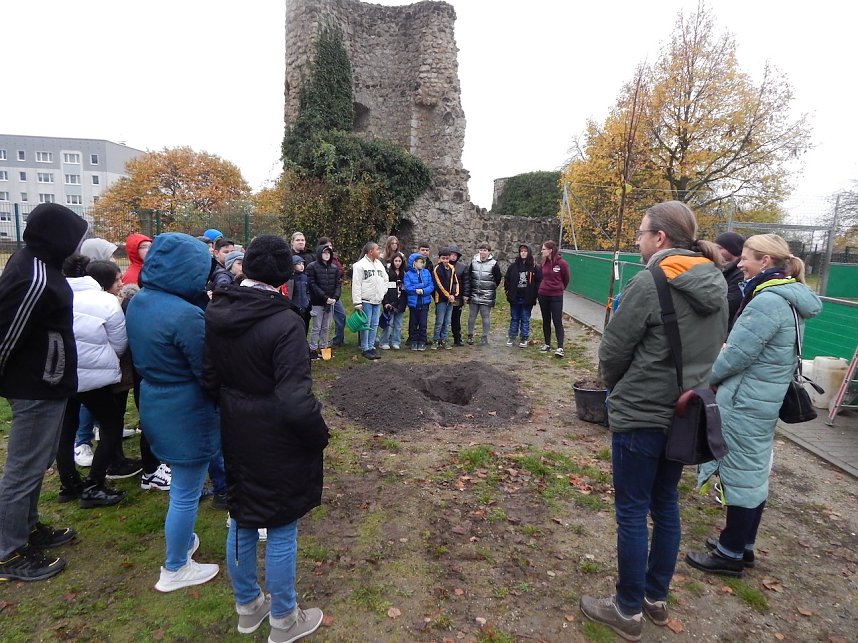 Eine Sommerlinde f&uuml;r die Petersbergschule