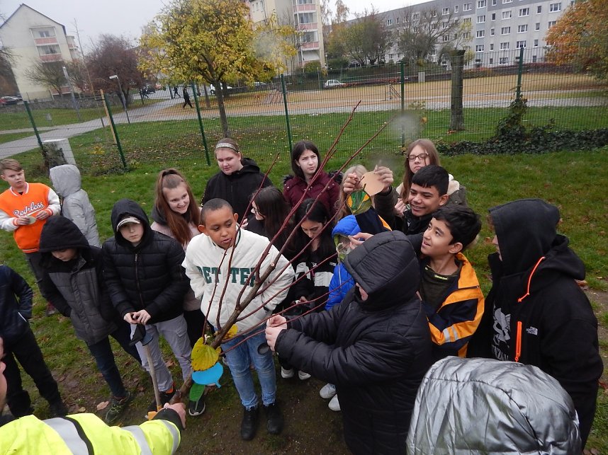 Eine Sommerlinde f&uuml;r die Petersbergschule
