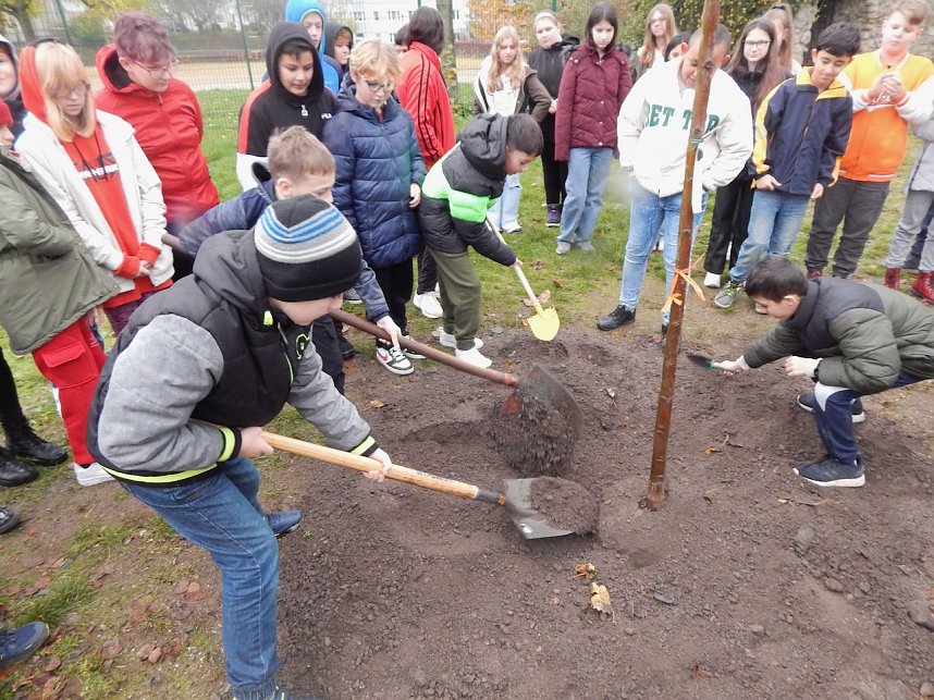 Eine Sommerlinde f&uuml;r die Petersbergschule