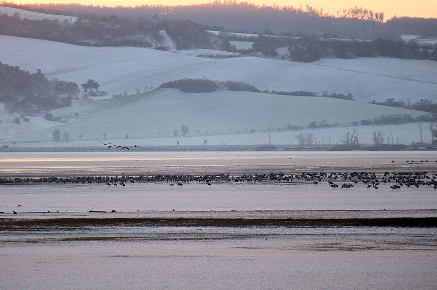 Peter Blei unterwegs im Schnee