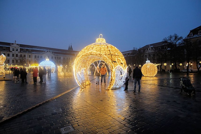 Peter Blei unterwegs in Magdeburg
