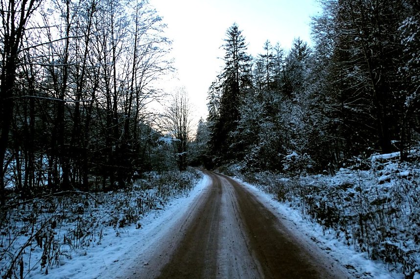 Eisige K&auml;lte im Brandesbachtal