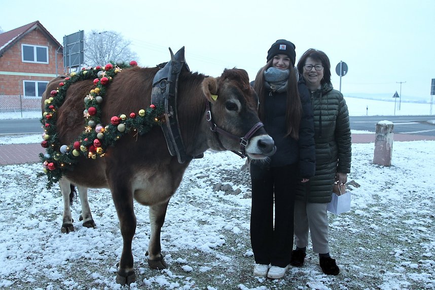 Wenn der Weihnachtsochse�durch die D&ouml;rfer zieht
