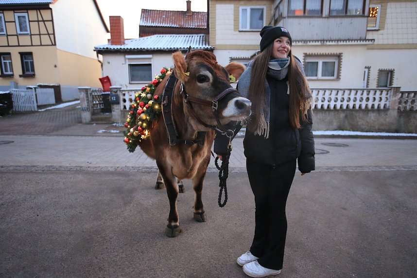 Wenn der Weihnachtsochse�durch die D&ouml;rfer zieht